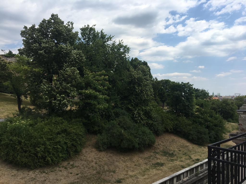 Castel View Apartment Budapest Eksteriør billede